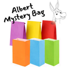 Mystery Gift Bag